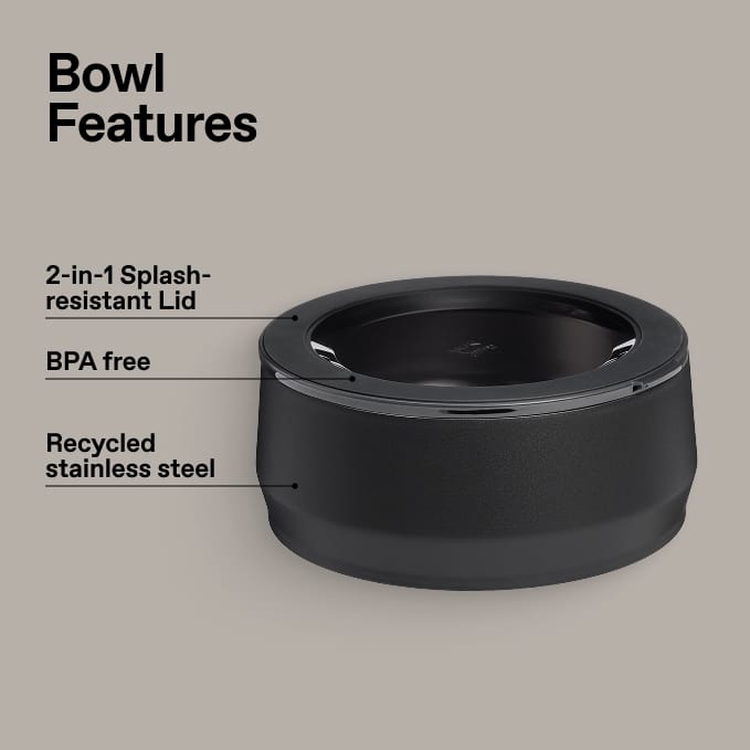 Stanley Pet Bowl 48oz 2 Stanley Pet Bowl 48oz - Image 2