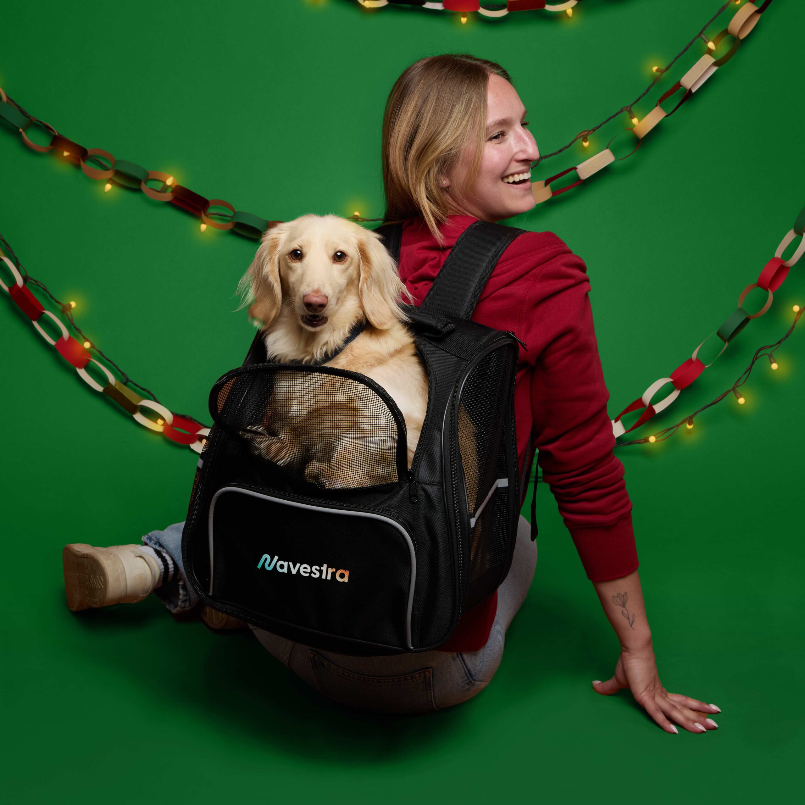 Paw Flex Backpack Pet Carrier 2 Paw Flex Backpack Pet Carrier - Image 2